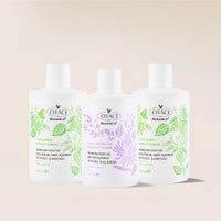Botanics+ Yağlanma Karşıtı Bitkisel Şampuan 375 ml 2'li Set - Saç Kremi Hediyeli