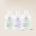 Botanics+ Canlandırıcı ve Besleyici Bitkisel Şampuan 375 ml 2'li Set - Saç Kremi Hediyeli