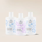 Botanics+ Kepek Karşıtı Bitkisel Şampuan 375 ml 2'li Set - Saç Kremi Hediyeli