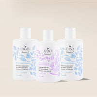 Botanics+ Kepek Karşıtı Bitkisel Şampuan 375 ml 2'li Set - Saç Kremi Hediyeli