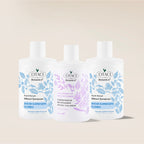 Botanics+ Kepek Karşıtı Bitkisel Şampuan 375 ml 2'li Set - Saç Kremi Hediyeli