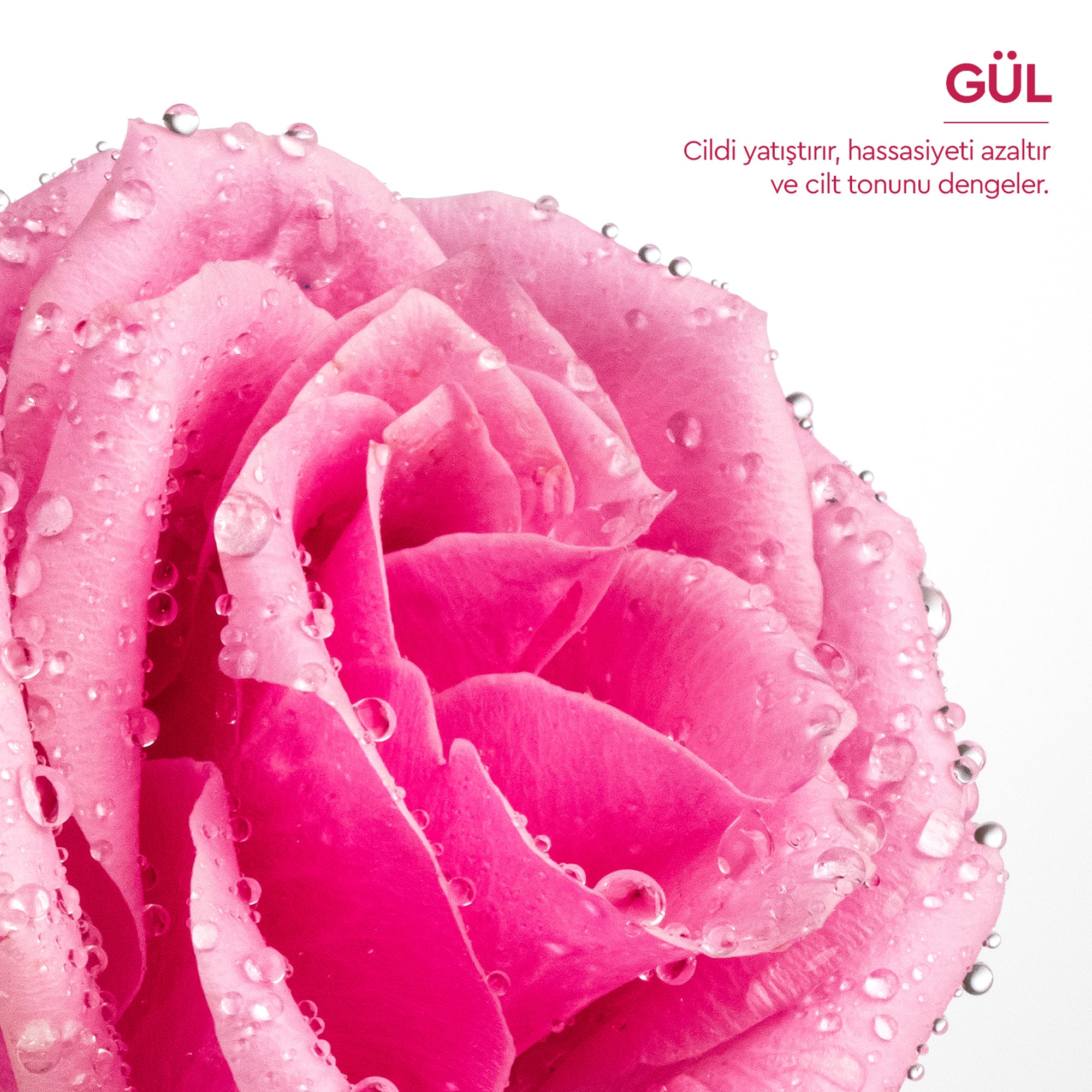 Botanics+ %100 Doğal Gül Suyu 150 ml