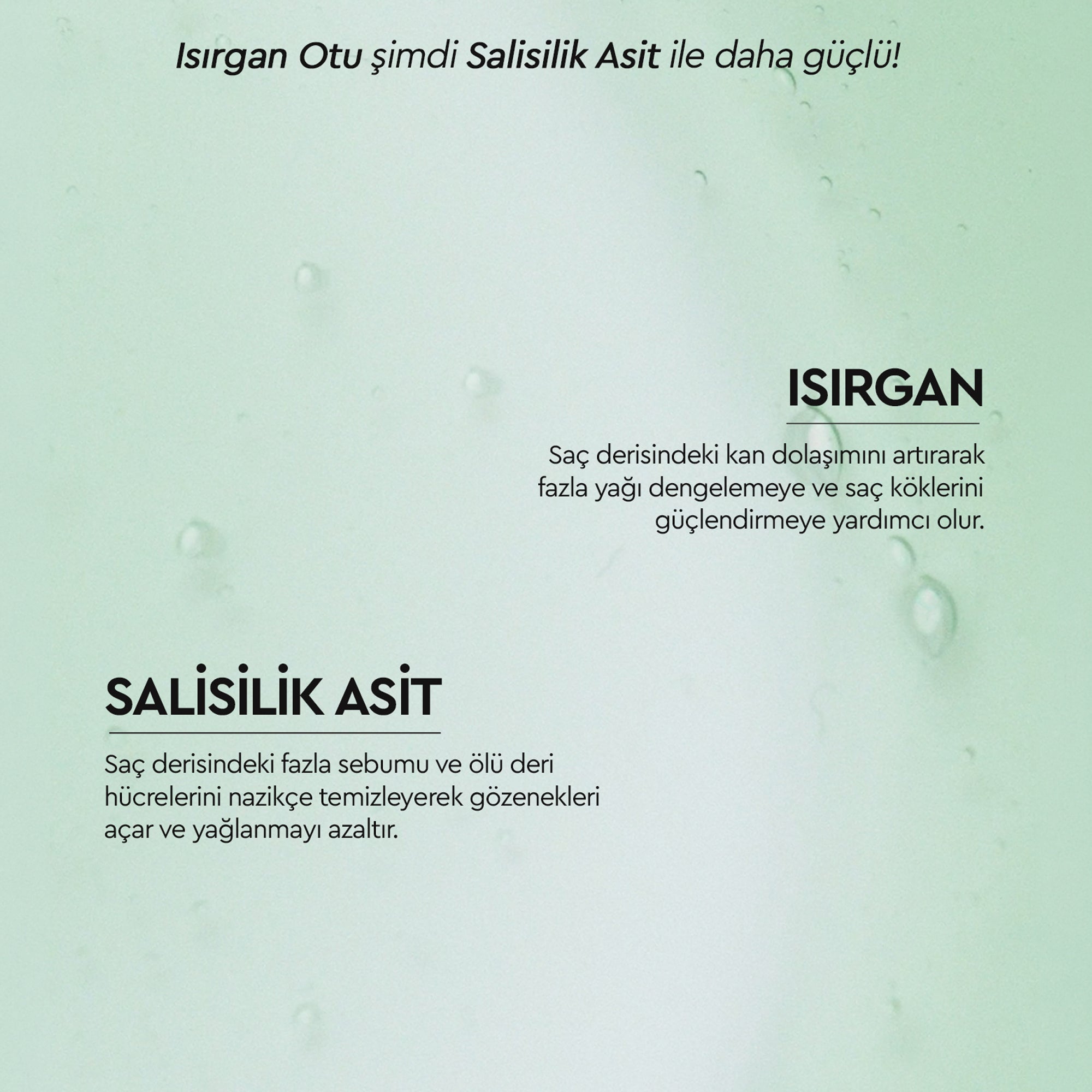 Botanics+ Yağlanma Karşıtı Bitkisel Şampuan 375 ml