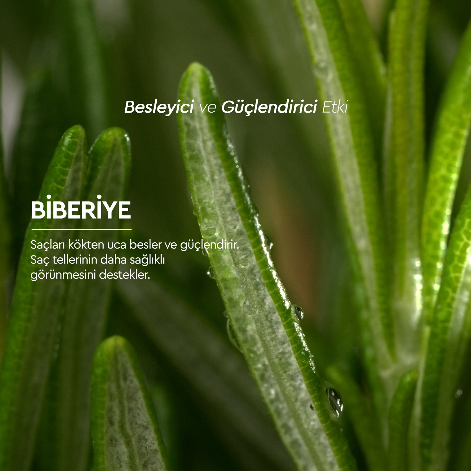 Botanics+ Besleyici ve Güçlendirici Saf Biberiye Suyu 150 ml